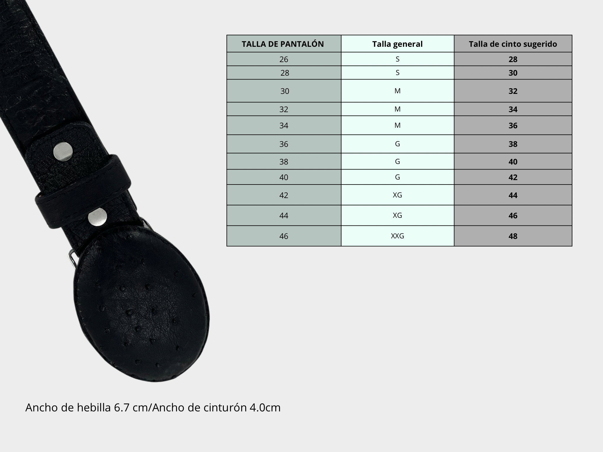 Exotic belt leather ostrich