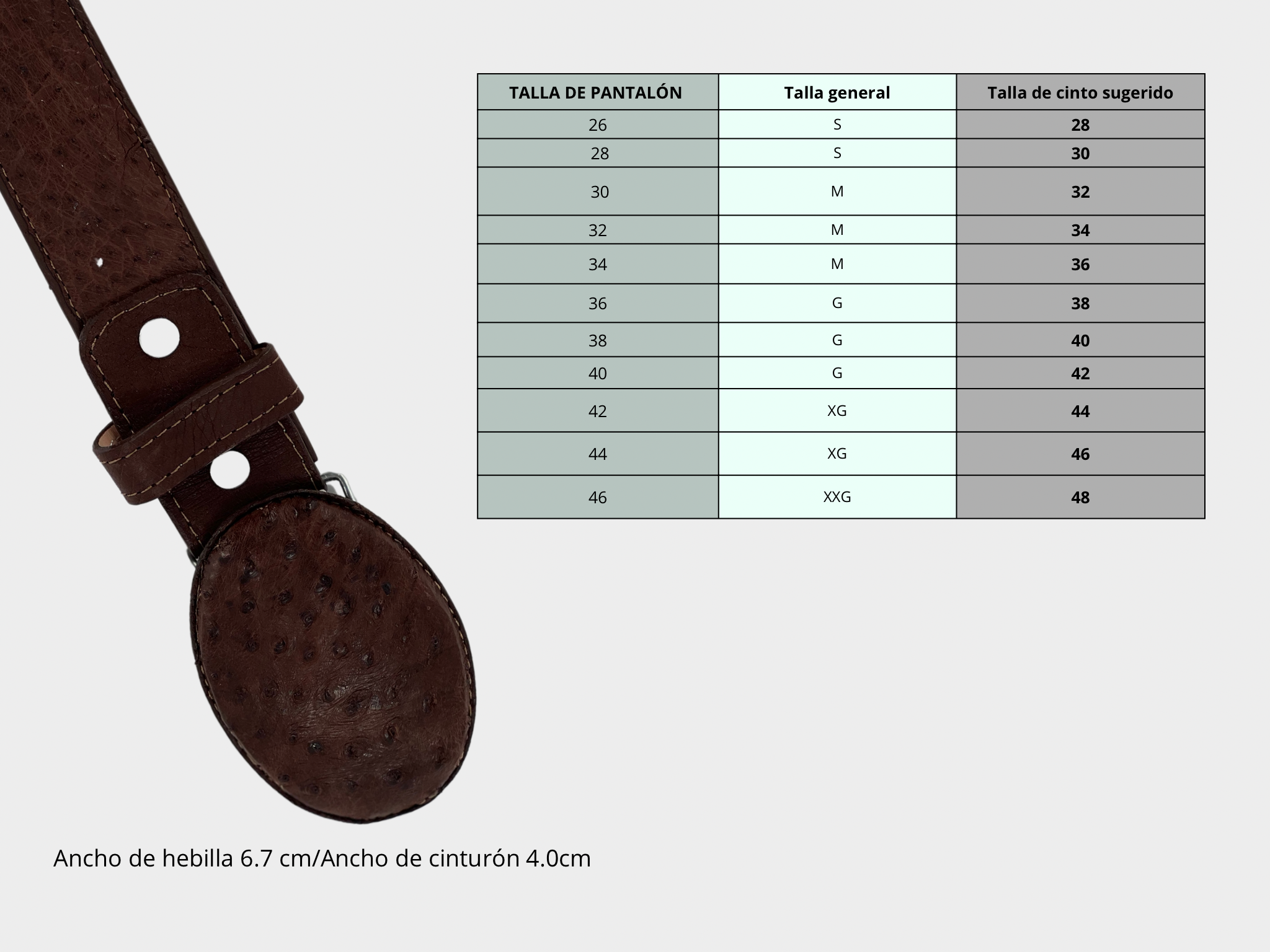 Exotic belt leather ostrich